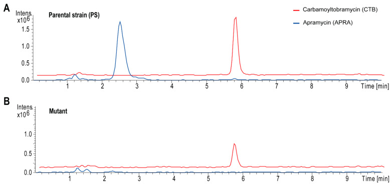 Figure 5