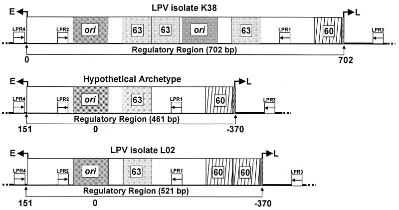 FIG. 1.