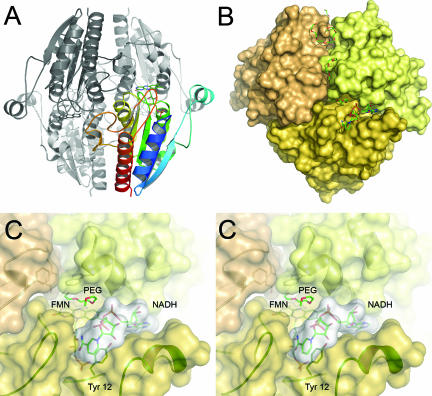 FIG. 4.