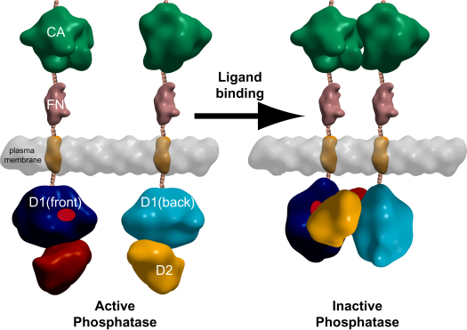 Figure 7