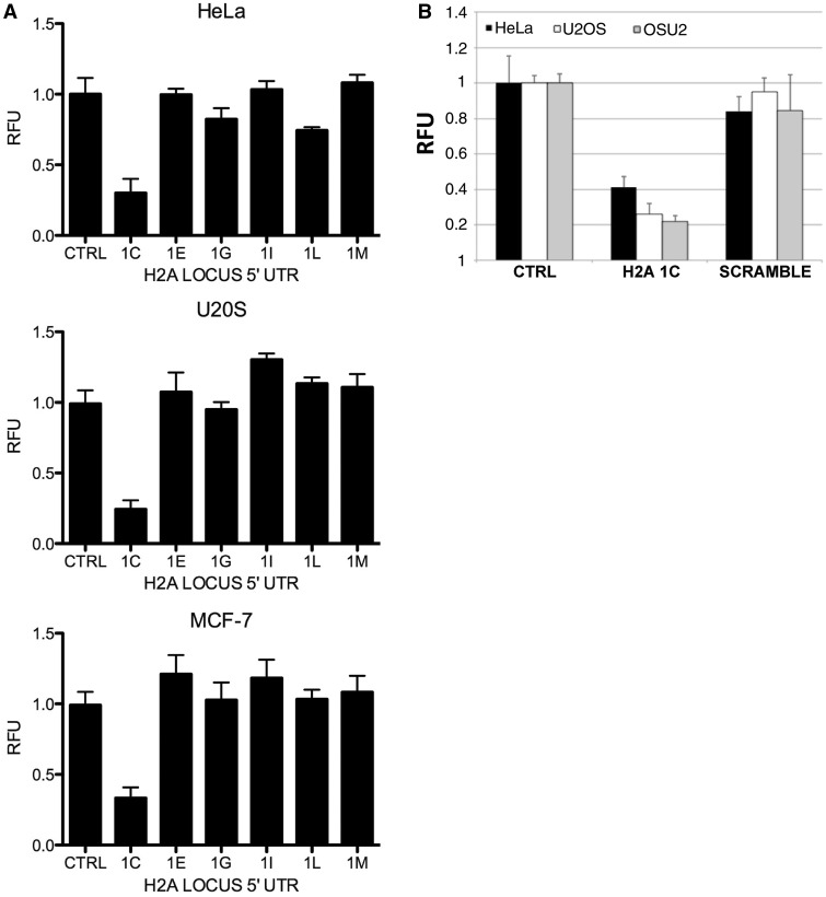 Figure 5.