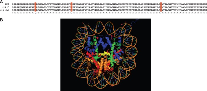 Figure 7.