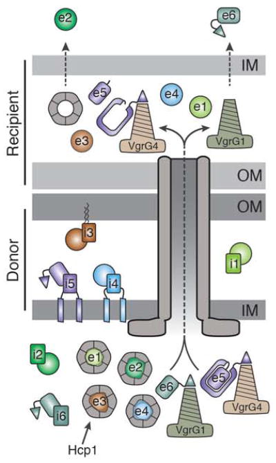 Fig. 6