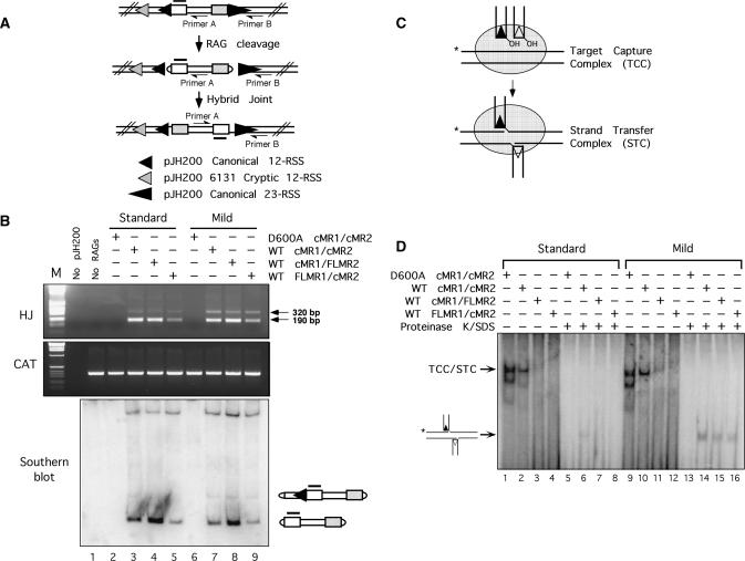 Figure 4.