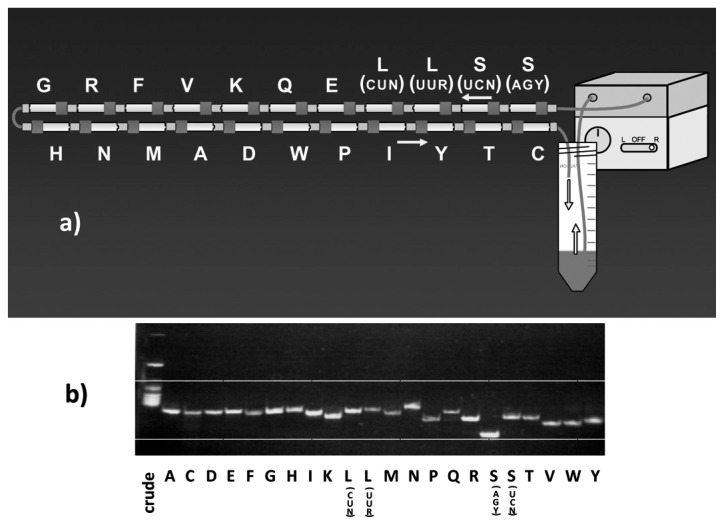 Fig. 9