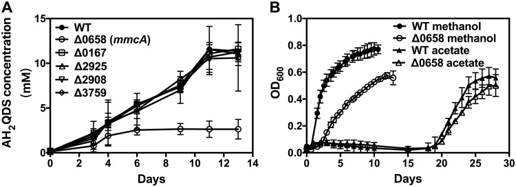 FIG 2