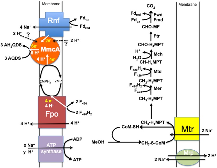 FIG 3