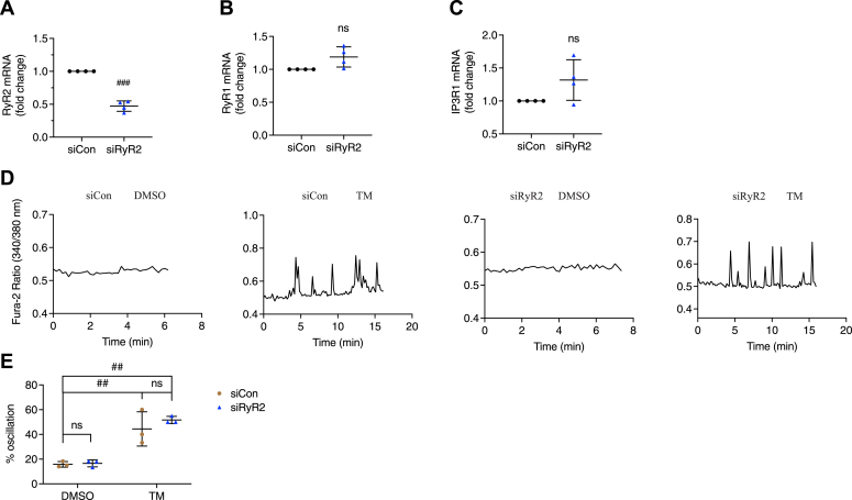 Figure 5