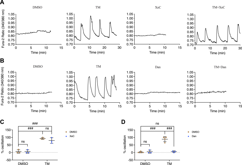 Figure 3