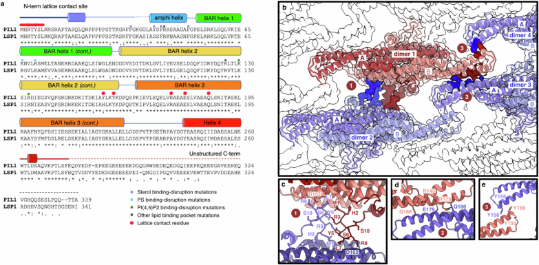 Extended Data Fig. 4