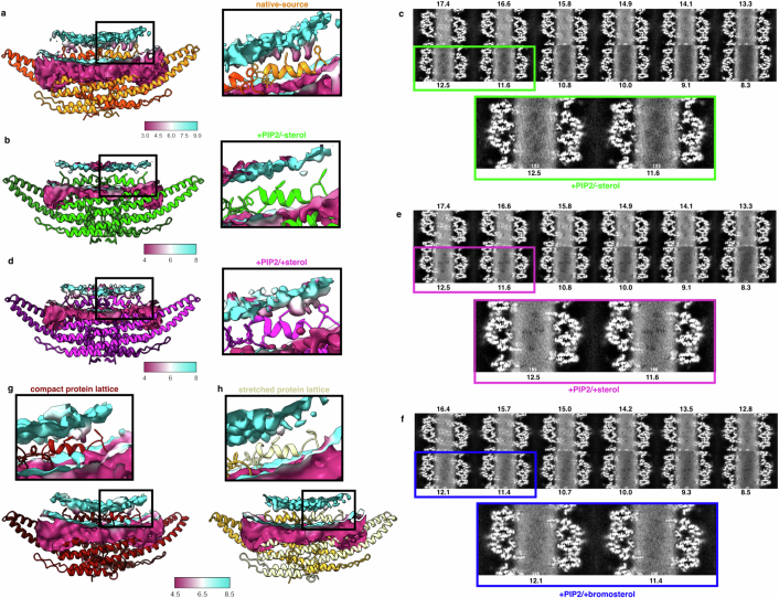 Extended Data Fig. 5