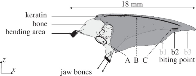 Figure 2.