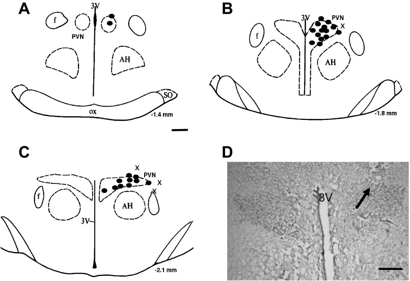 Fig. 6.