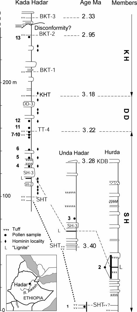 Fig. 1.