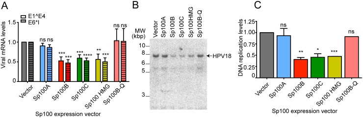 Fig 8