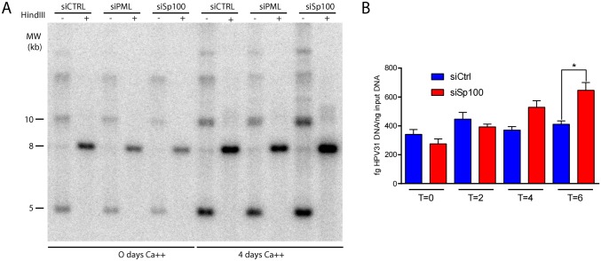 Fig 7