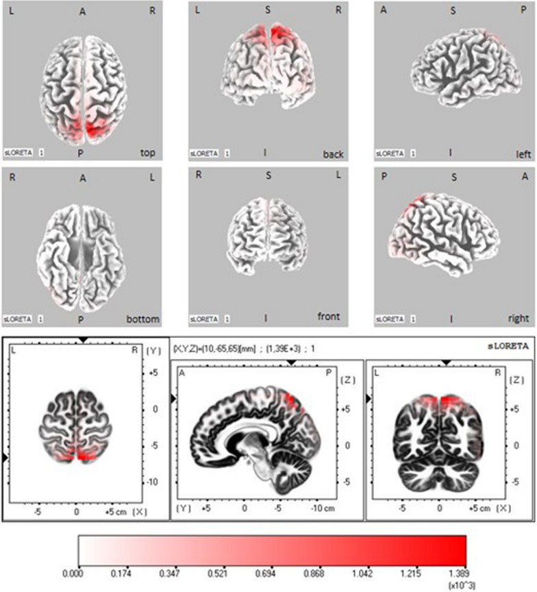 Fig. 3