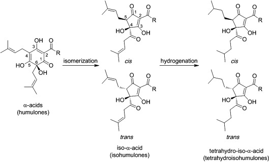 Scheme 1