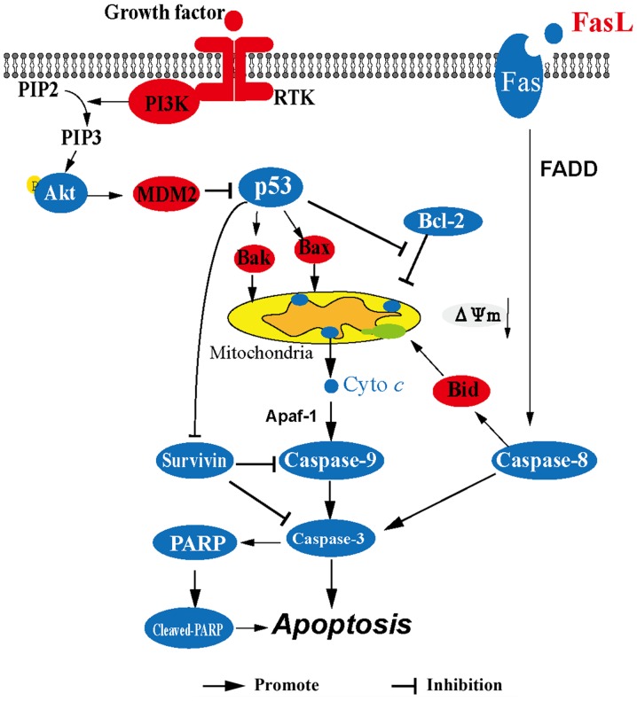 Figure 7.