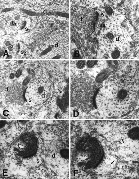 Fig. 11.