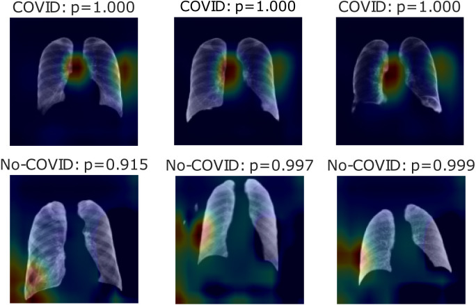 Fig. 7