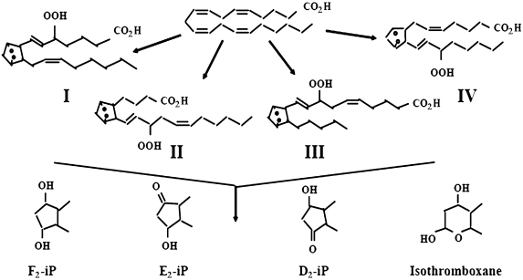 Fig. 4