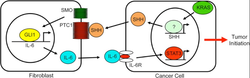 FIGURE 7.