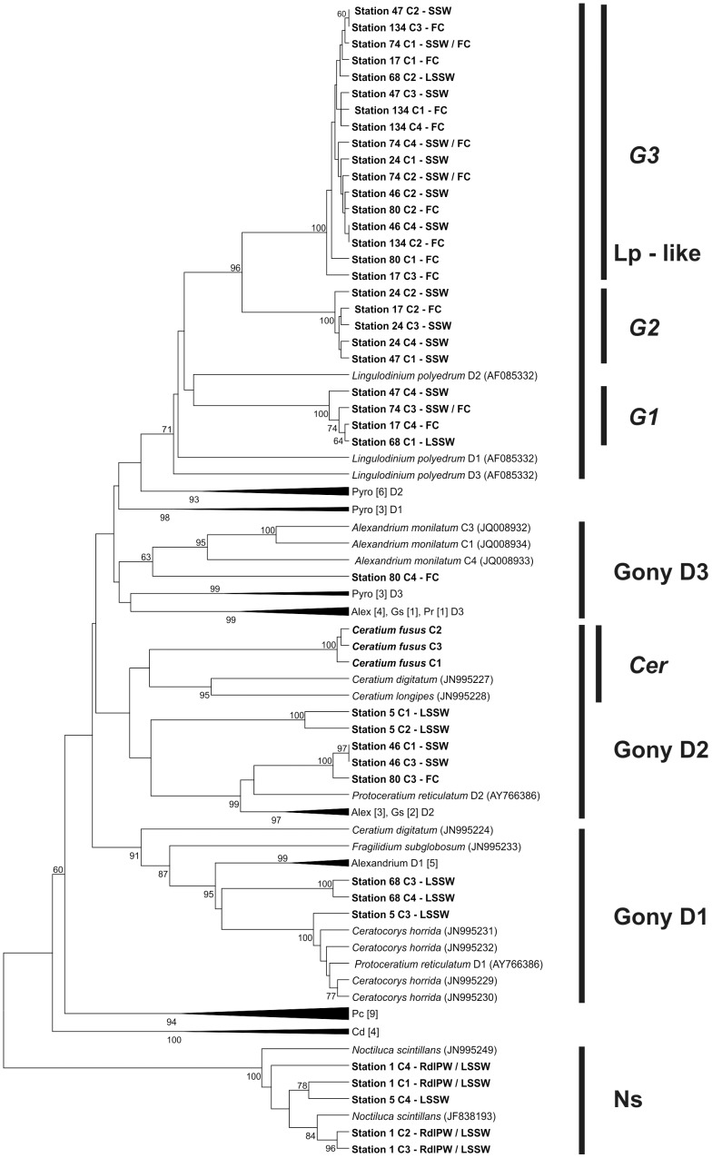 Figure 5