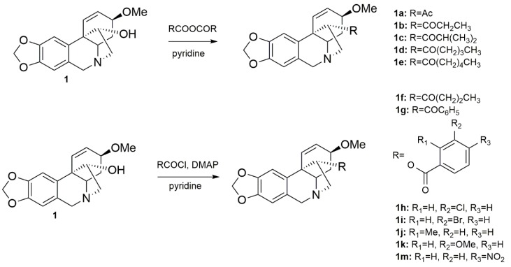 Scheme 1