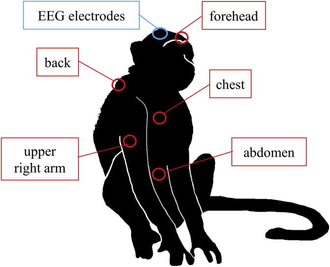 Figure 1