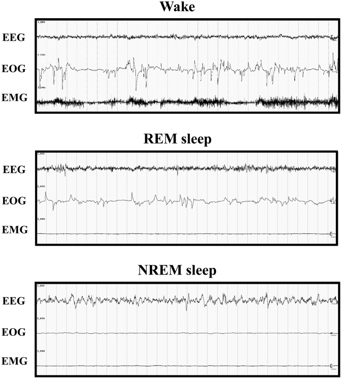 Figure 2