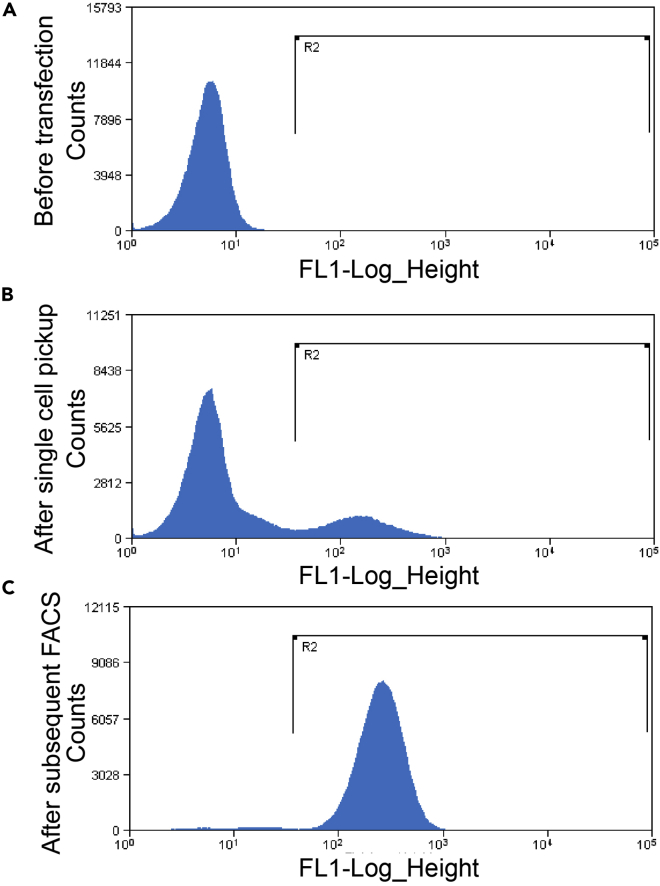 Figure 6