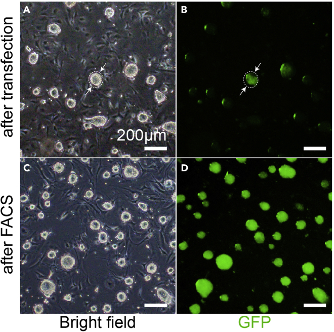 Figure 5