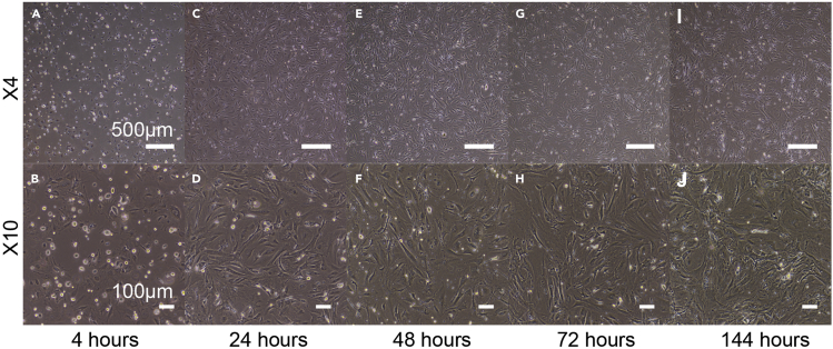 Figure 1