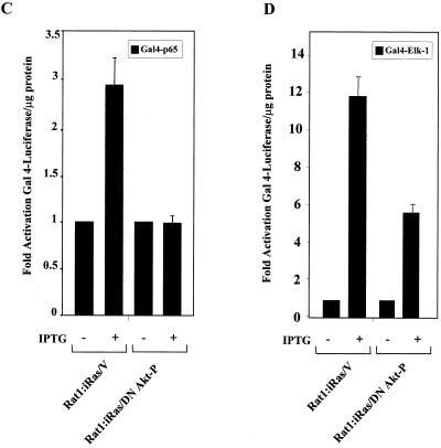 FIG. 6