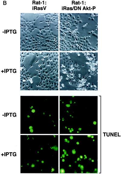 FIG. 6