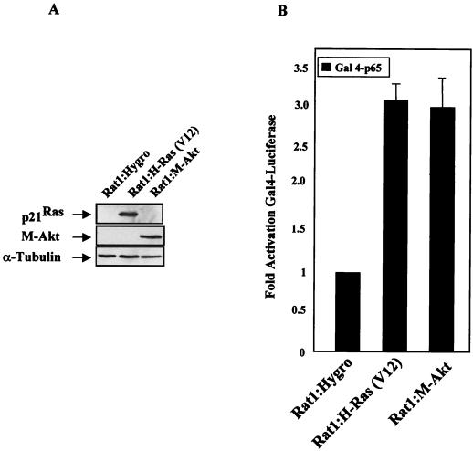 FIG. 7