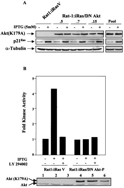 FIG. 5