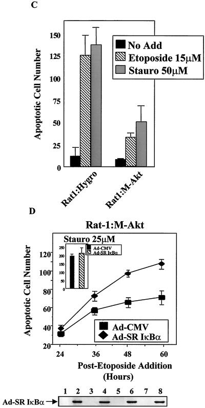 FIG. 7