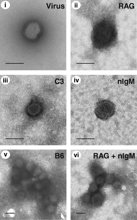 FIG. 4.