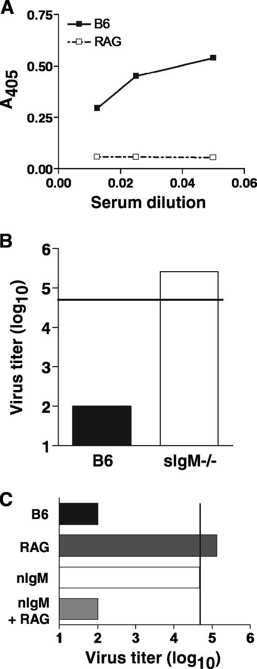 FIG. 2.