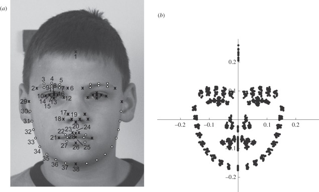 Figure 1.