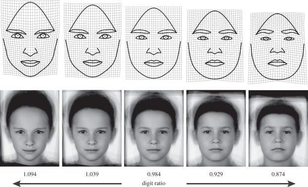 Figure 2.