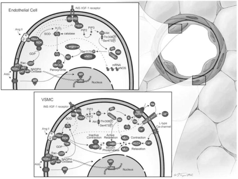 Fig. 2