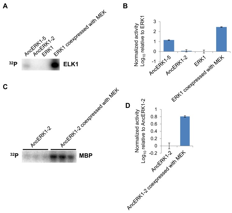 Figure 1—figure supplement 5.