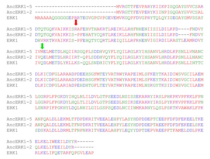 Figure 3—figure supplement 3.