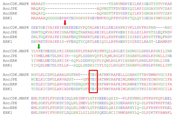 Figure 2—figure supplement 1.