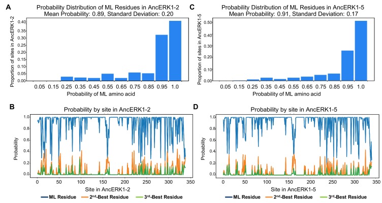 Figure 1—figure supplement 2.