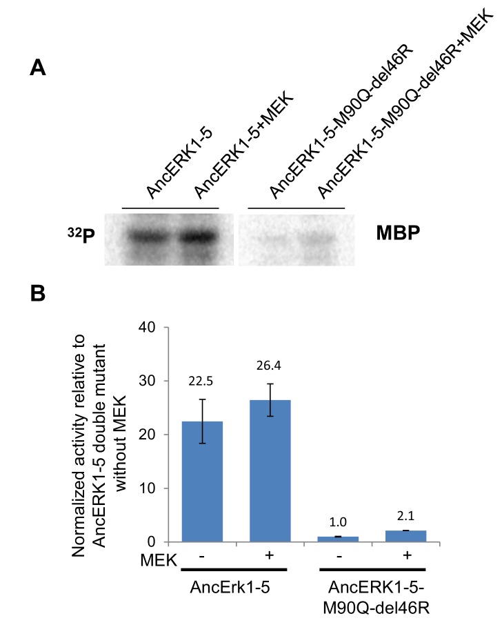 Figure 3—figure supplement 5.