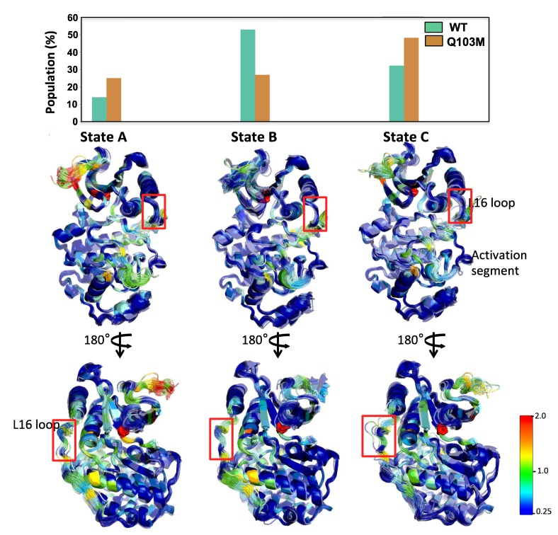 Figure 5—figure supplement 5.